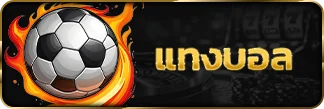 เข้าแทงบอล