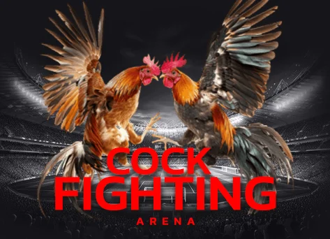 COCKFIGHTING ARENA
